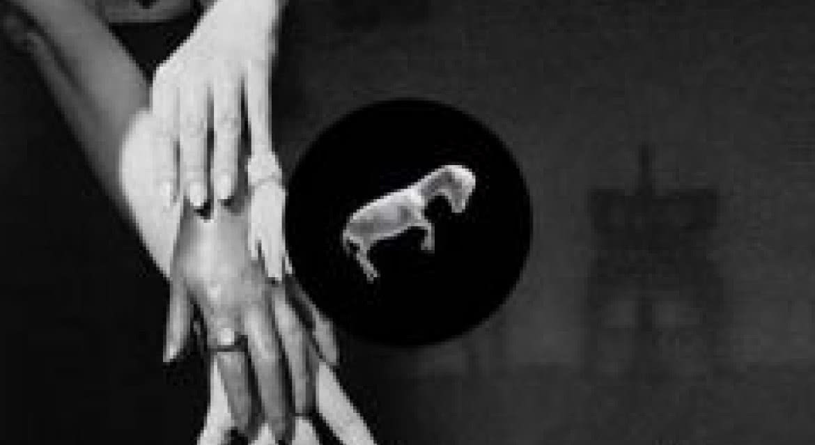 Blonde Redhead wydają nową płytę. Premiera we wrześniu