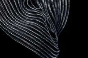 Comme Les Garcons