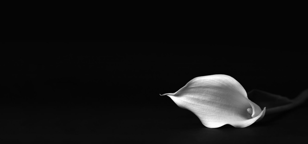 Zmarł Dariusz Prządka, współzałożyciel i współwłaściciel firmy Audio Klan