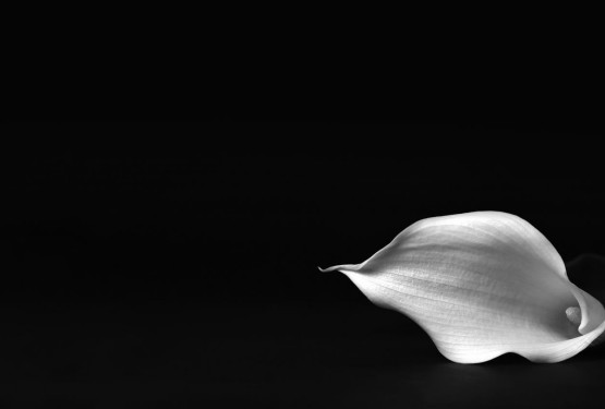 Zmarł Dariusz Prządka, współzałożyciel i współwłaściciel firmy Audio Klan