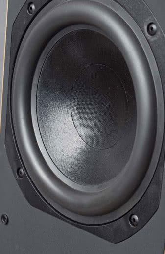18-cm głośnik z membraną z dużą wklęsłą
nakładką nie wygląda na średniotonowego
specjalistę, lecz jakiekolwiek problemy z przetwarzaniem "wyższego
środka" radykalnie
rozwiązuje niska częstotliwość podziału, do
której zaprasza duża wysokotonowa kopułka.