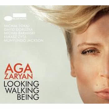 Looking Walking Being