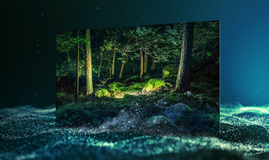 Samsung OLED S95B - samoemisyjne piksele i kolory Pantone