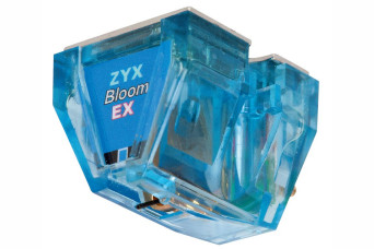 R50 Exceed Bloom