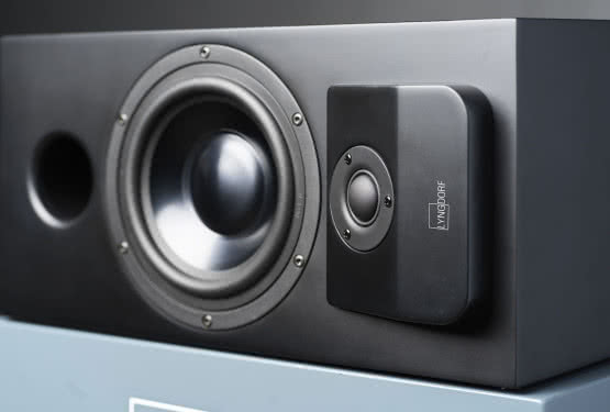 Kolumna głośnikowa do zabudowy Lyngdorf CS-1