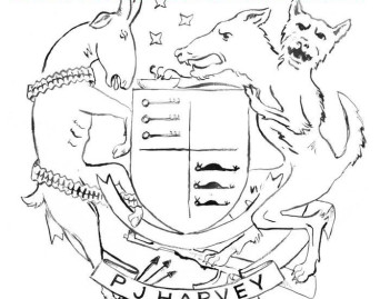 The Hope Six Demolition Project