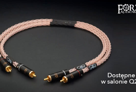Kable Forza Audioworks w orefcie Q21