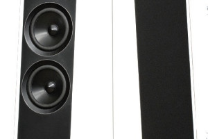 AE305