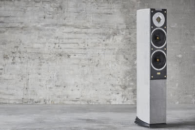 Audiovector SR3 Arrete Raw Surface LE