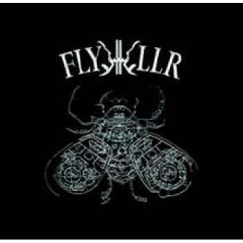 Experiments In Violent Light