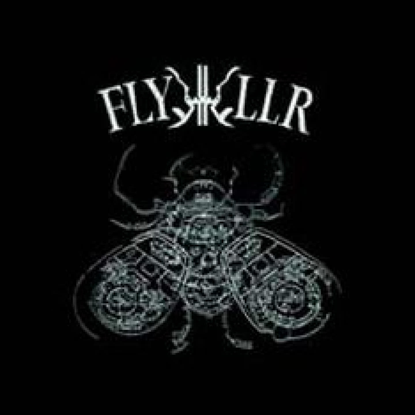 Experiments In Violent Light