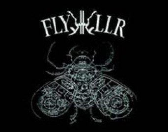 Experiments In Violent Light