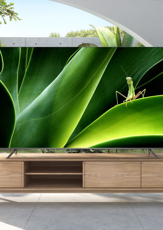 Nowe telewizory TCL z serii P73