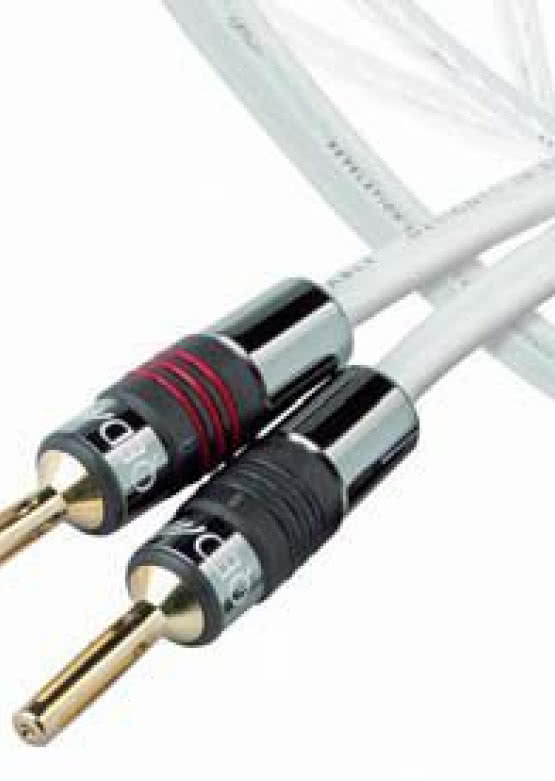 QED REVELATION - rewelacja w zasięgu portfela