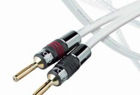 QED REVELATION - rewelacja w zasięgu portfela