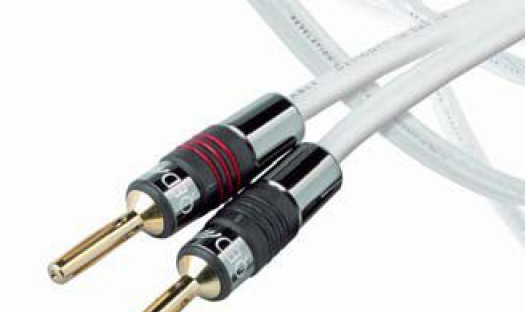 QED REVELATION - rewelacja w zasięgu portfela