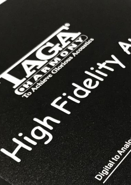 Przetwornik C/A Taga Harmony DA-300