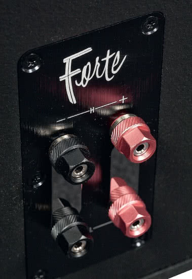 W pierwszych (ani nawet w drugich) Forte nie było podwójnego terminala, bi-wiring to fanaberia następnego pokolenia audiofilów.