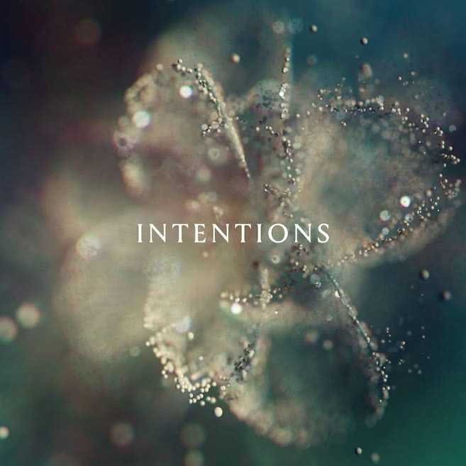 Intensions