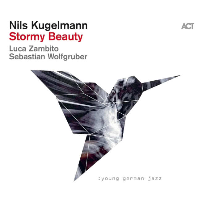 Stormy Beauty