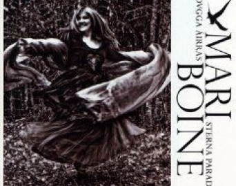 Cuovgga airras sterna paradisea