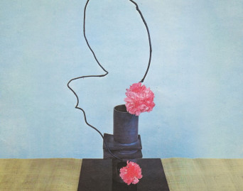 Oh Inhuman Spectacle