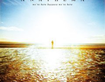 We`re Here Becase We`re Here