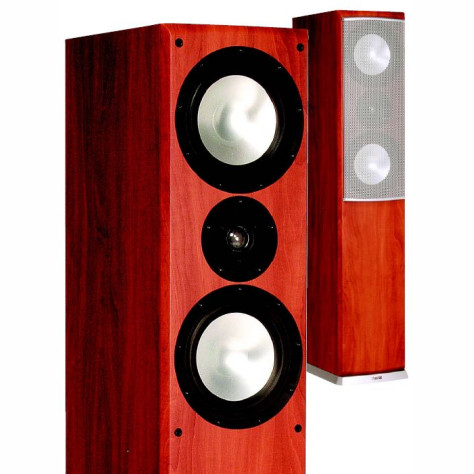 Quantum 505