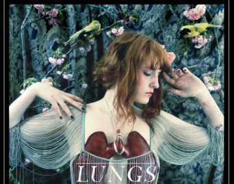 Lungs