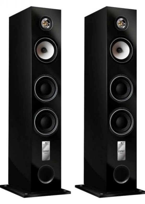 Triangle Esprit Antal EZ w lubelskim salonie audio-video Meloman