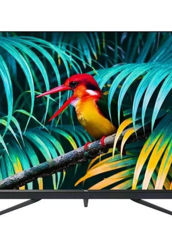 Vouchery do kanałów sportowych przy zakupie telewizorów TCL