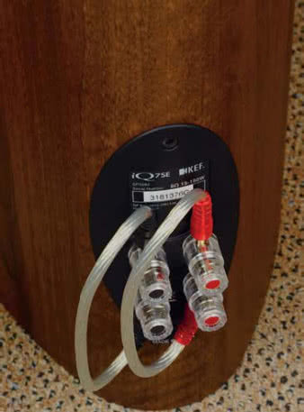 Zaciski przyłączeniowe wyglądają wyiątkowo nobliwie - jak zawsze, kiedy nie są schowane w standardowej plastikowej oprawce, ale wystaią z bryły obudowy. Odcinki srebrzonych przewodów zamiast zacisków spodobają się purystom, szukającym w jakości takich elementów źródła złego i dobrego.