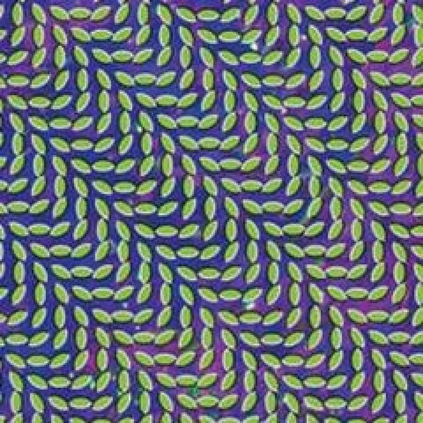 Merriweather Post Pavilion