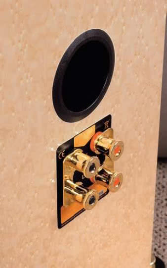 W całej konstrukcji jest jeden niepozorny otwór bas-refleks, ale współpracuje on tylko z dolnym głośnikiem, niskotonowym. Zaciski głośnikowe są pierwszorzędne, zresztą z zewnątrz całe 22L robią wrażenie znacznie bardziej luksusowych, niż większość kolumn w tym zakresie ceny.