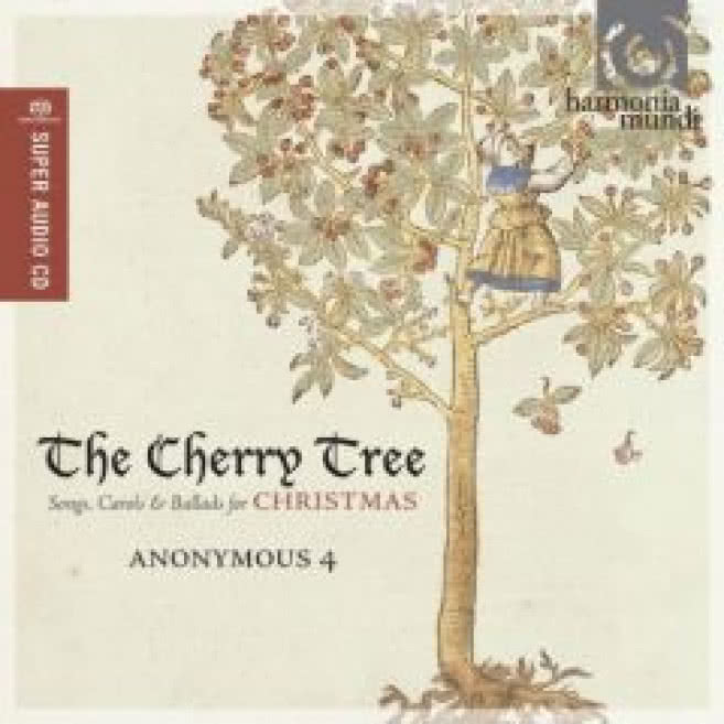 The Cherry Tree