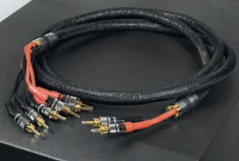 Głośnikowy Grajkabel Numer Dwa (2 x 2,5 m
tri-wiring) - zagrał z Grajpudłami. Od wzmacniacza
wymaga tylko "pojedynczych" zacisków.