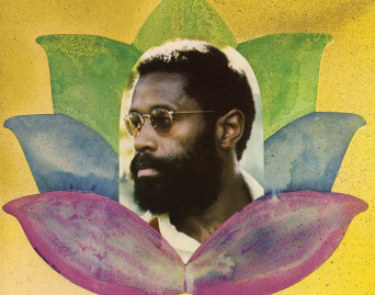 The Jewel in the Lotus