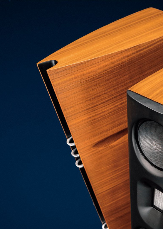 AudioEmotions / Audio Group Denmark na Audio Video Show 2024 - Axxess, Børresen, Aavik  