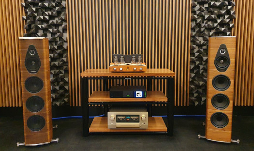 Odsłuchy kolumn Sonus faber Olympica Nova V w salonie audioplaza.pl