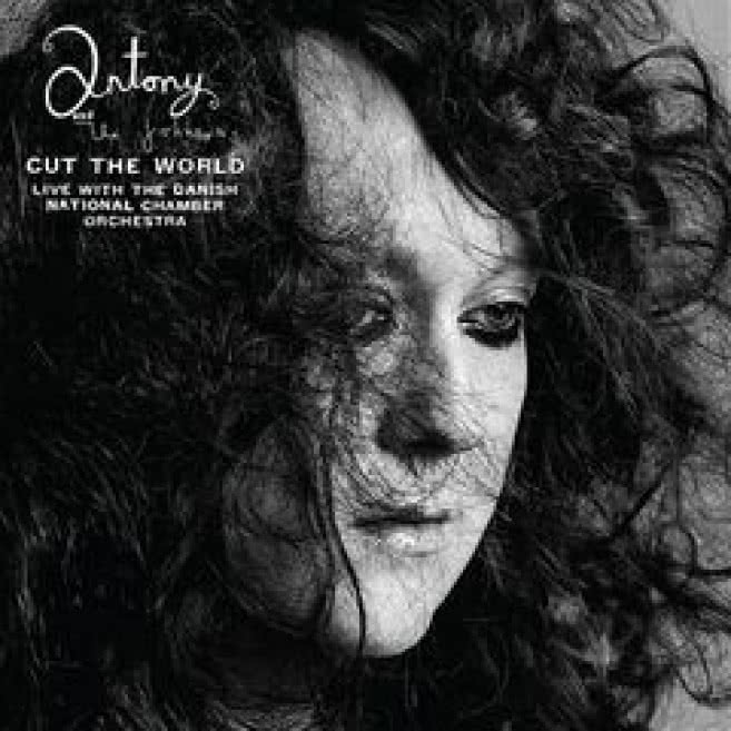 Cut The World