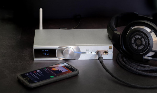 iFi Audio w dystrybucji 21Distribution