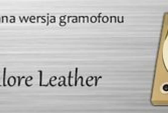 Skórzany gramofon Goldenote Valore w salonie Q21