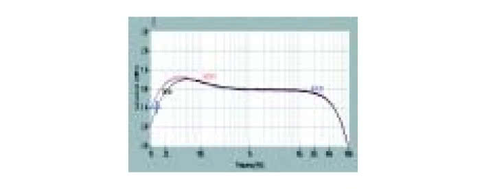 Rys. 1. Pasmo przenoszenia.
