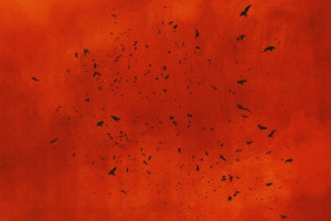 Czarna Madonna. Reedycja