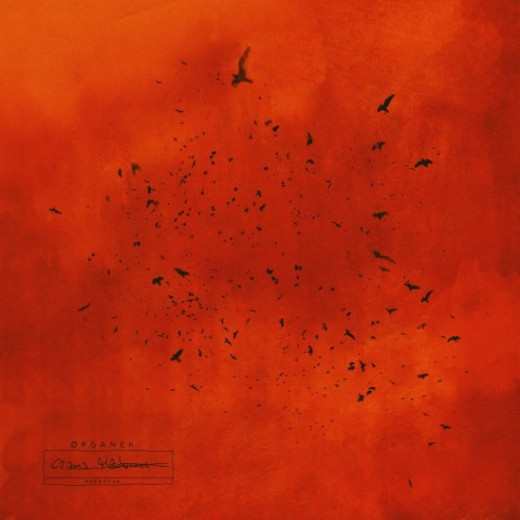 Czarna Madonna. Reedycja