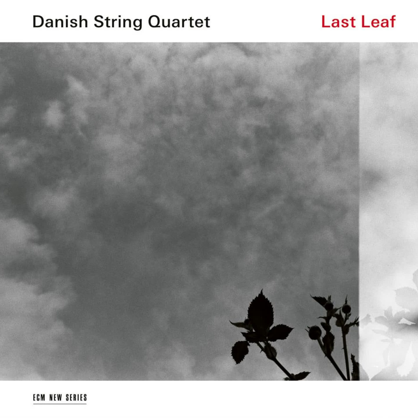 Last Leaf