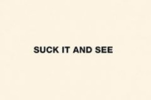 Suck It And See