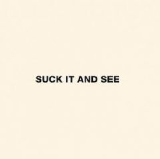 Suck It And See