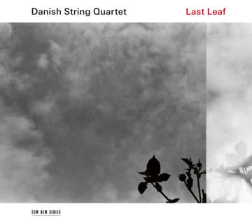Danish String Quartet - Last Leaf Last Leaf