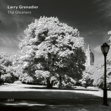 Larry Grenadier - The Gleaners The Gleaners
